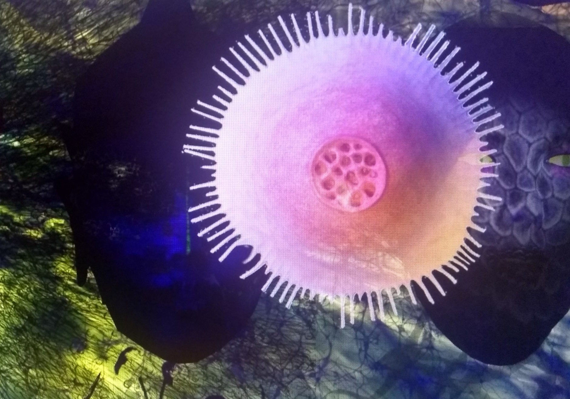 Her Eyes Were as Black as Coal — video still, circular radiant form with cilia